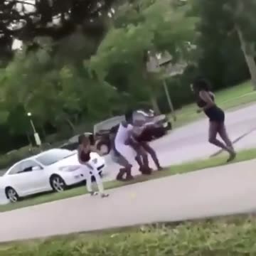 Funny Girl Fight ROFL