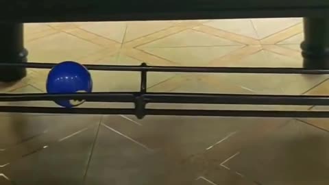 🎱🐱 Cat vs 8 Ball – Who Will Win? 😂#ViralVideo 🔥 #AnimalComedy 😂 #PetFun ❤️ #CatVideos 📹