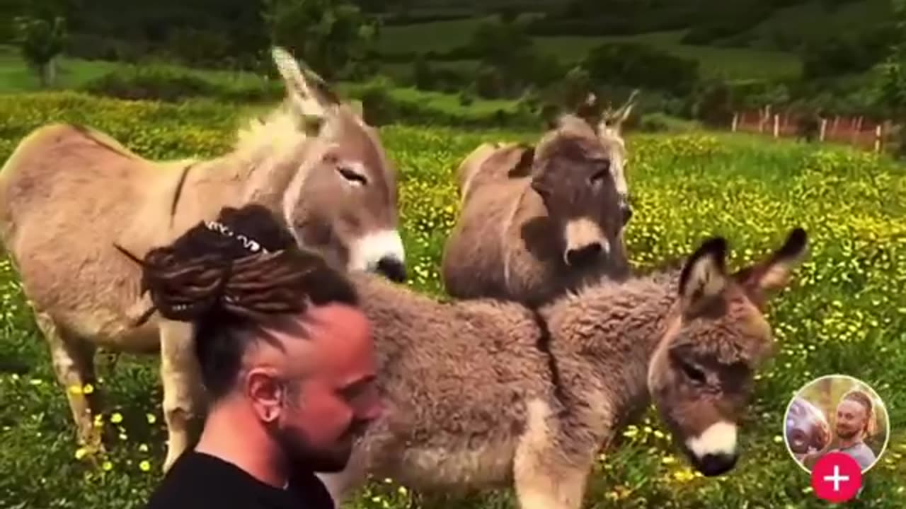 Music is the best studied of art therapy