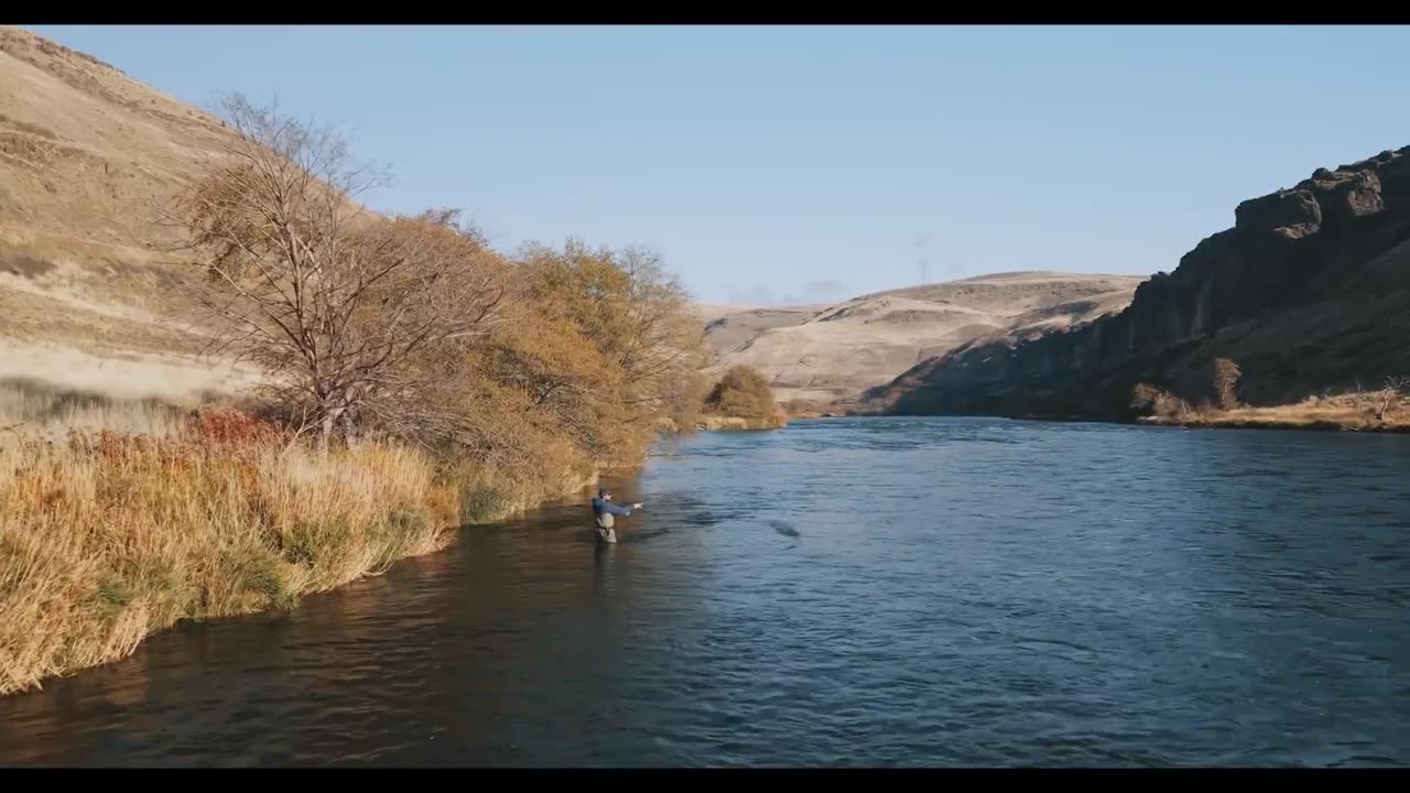 Tucker talks about Somalis and identity!