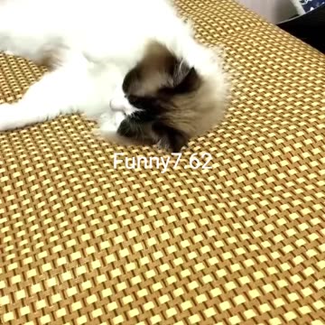 When Minnie wakes up