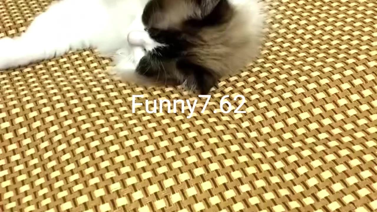 When Minnie wakes up
