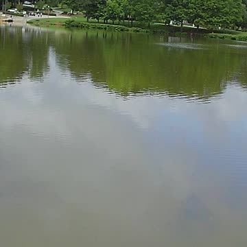 Missed that one, fav lure and hook