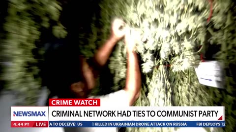⛔Illegal Marijuana Farms run by Chinese Nationals in the U.S. must be stopped
