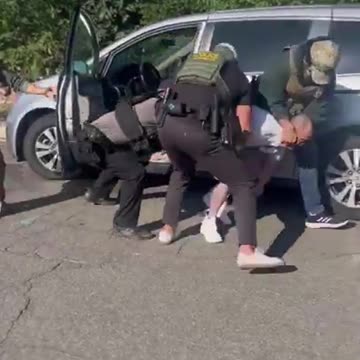 ICE Captures Vietnamese Criminal Immigrant