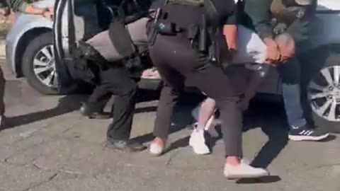 ICE Captures Vietnamese Criminal Immigrant