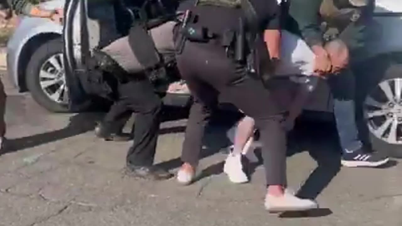 ICE Captures Vietnamese Criminal Immigrant