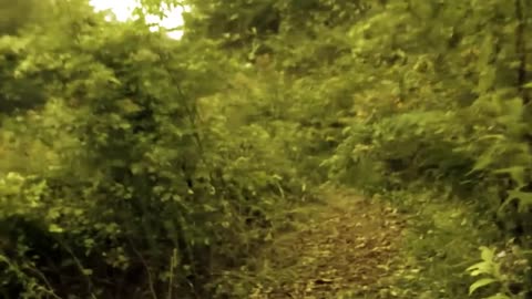 The 5th Dimension Spooky Found Footage Sci-fi Horror Full Movie