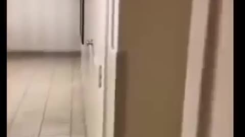 😂🛗 This Elevator Prank is Hilarious! | FunFM