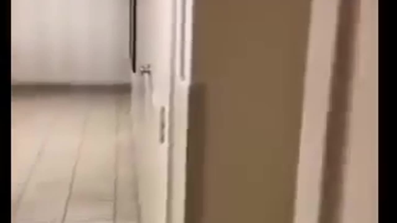 😂🛗 This Elevator Prank is Hilarious! | FunFM
