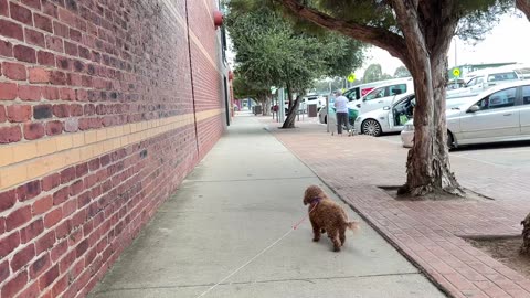 Echuca Vic Australia - 1