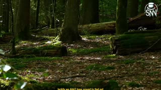 🔥🏕️ 2 Hours of the Creepiest Camping Encounters Caught on Camera! 😨🔥