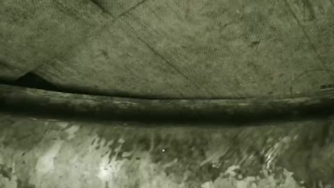 Double Trouble! #shorts