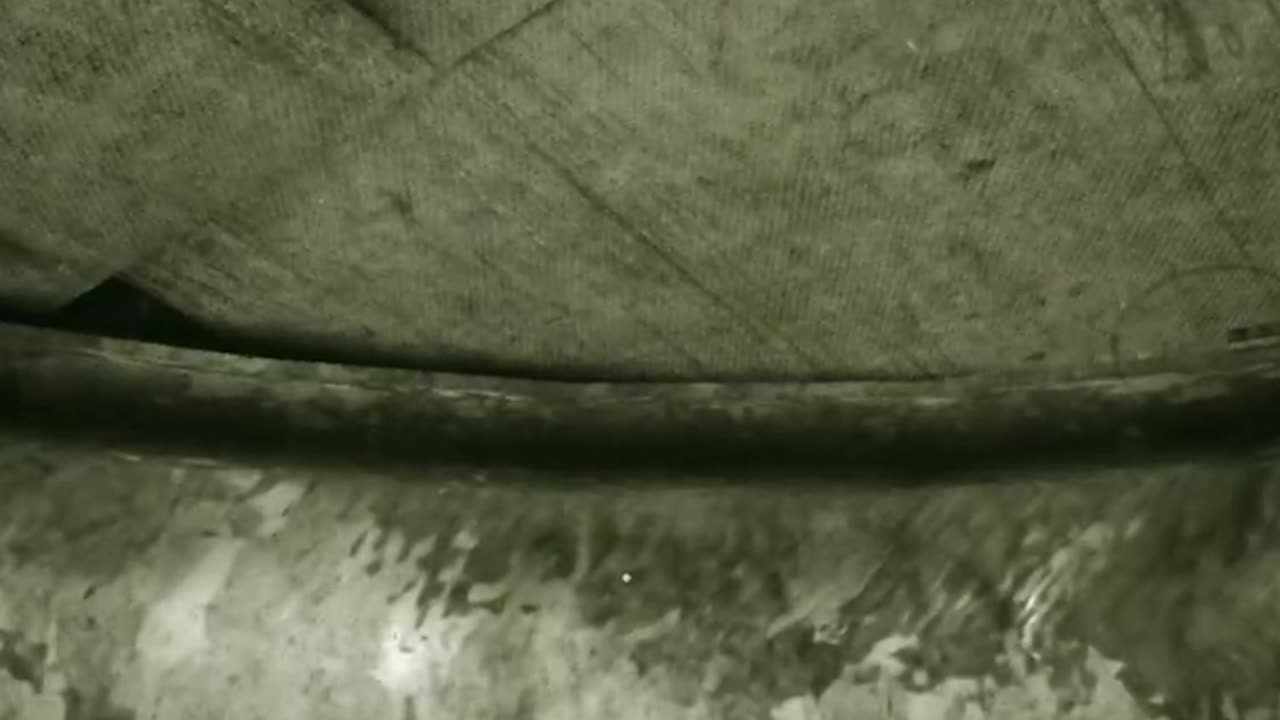 Double Trouble! #shorts