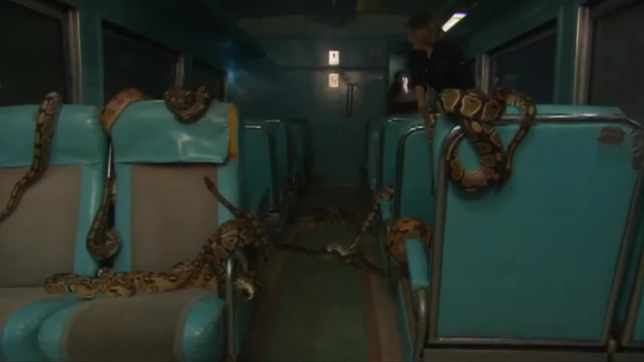 Snakes on a Train (2006 film)