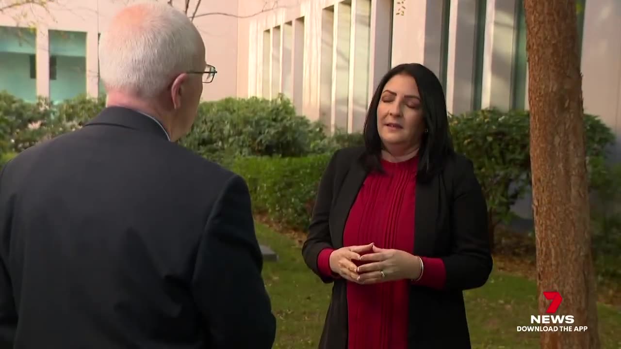 Advocates slams Albo government for inaction on a confronting report on gambling reform ｜ 7NEWS