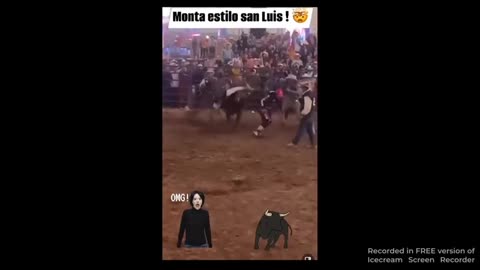 mexican dumb fucks with bulls