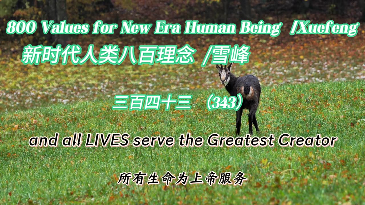 800 Values for New Era Human Being(343)