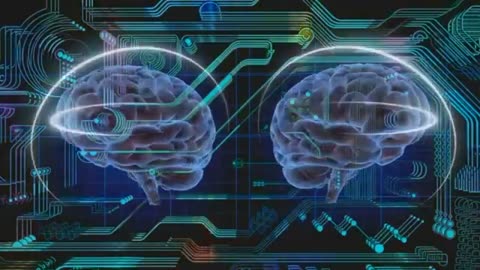 Human Brain 3D Animation Free HD Footage Royalty Free No copyright