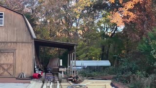 DIY Railroad switch test