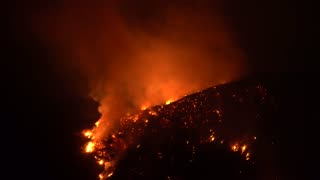 Wisdom For the Asking