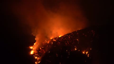 Wisdom For the Asking