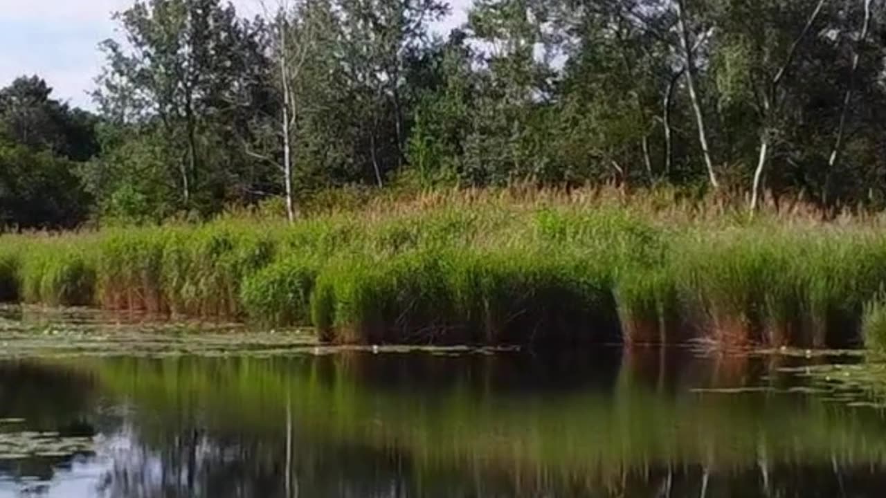 Top 3 dishes of Djibouti