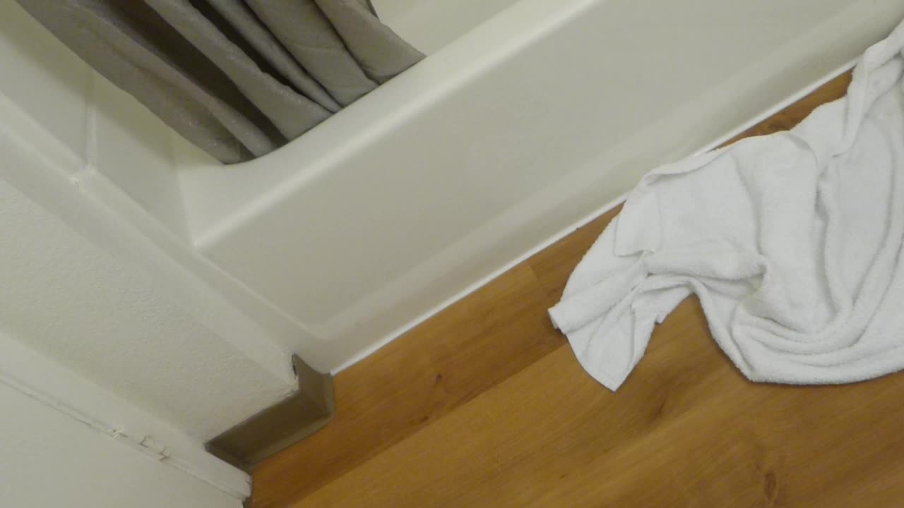 Flushing at motel we're staying at for Safari Park!