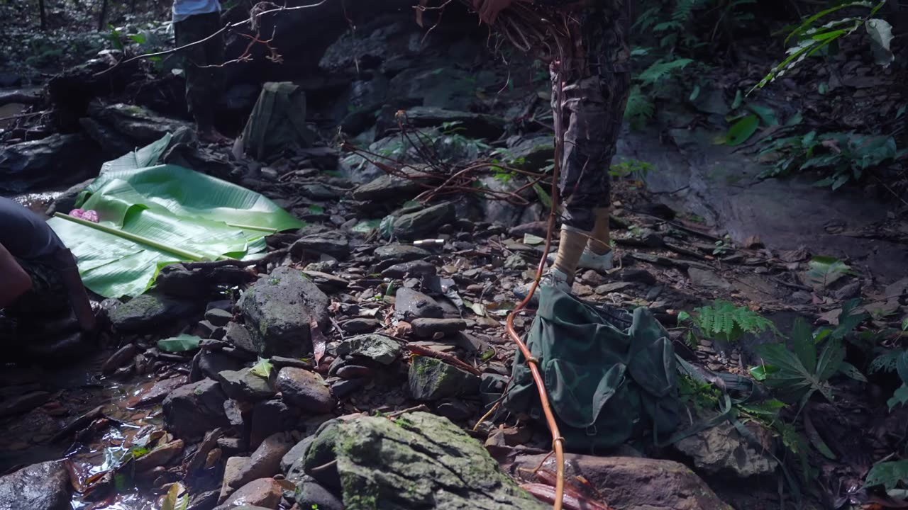 Exploring the primeval forests of Vietnam