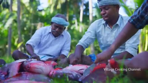 Breaking: RED SNAPPER FISH | Big Fish Grill Recipe Cooking in Village | Fish Fry