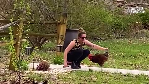 Funny_Pets