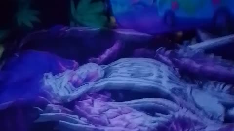 My Sleeping Setup