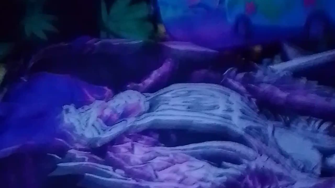 My Sleeping Setup