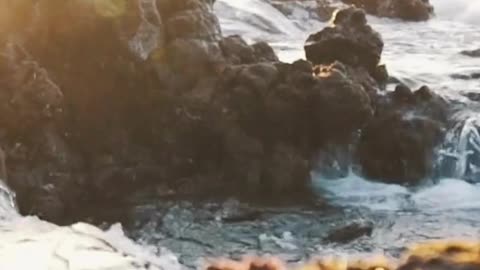 Engaging & Inspiring Video 7/2/2025