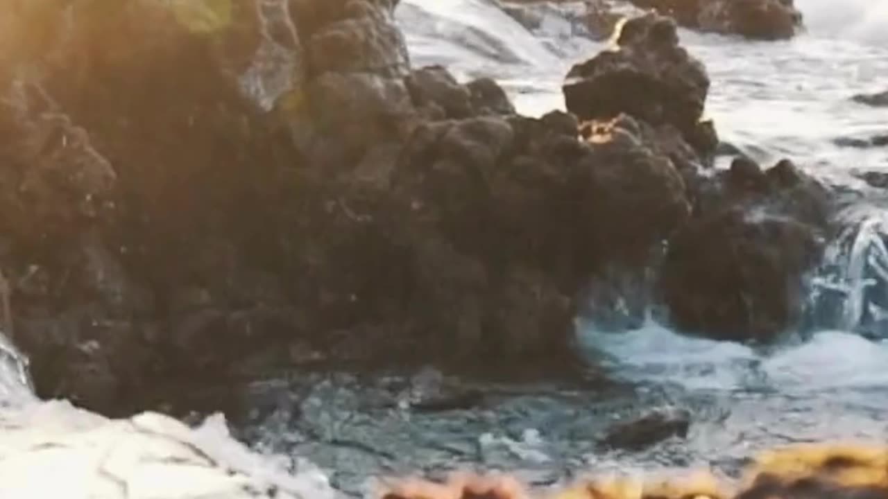 Engaging & Inspiring Video 7/2/2025