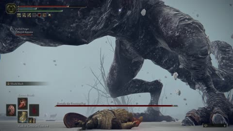 Elden Ring PC | Borealis, the Freezing Fog boss fight co-op w/1 summoned player on NG