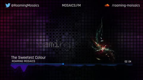 PIRATE RADIO SHOW EPISODE 2