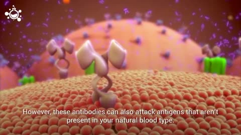 The Rarest Blood Type on Earth