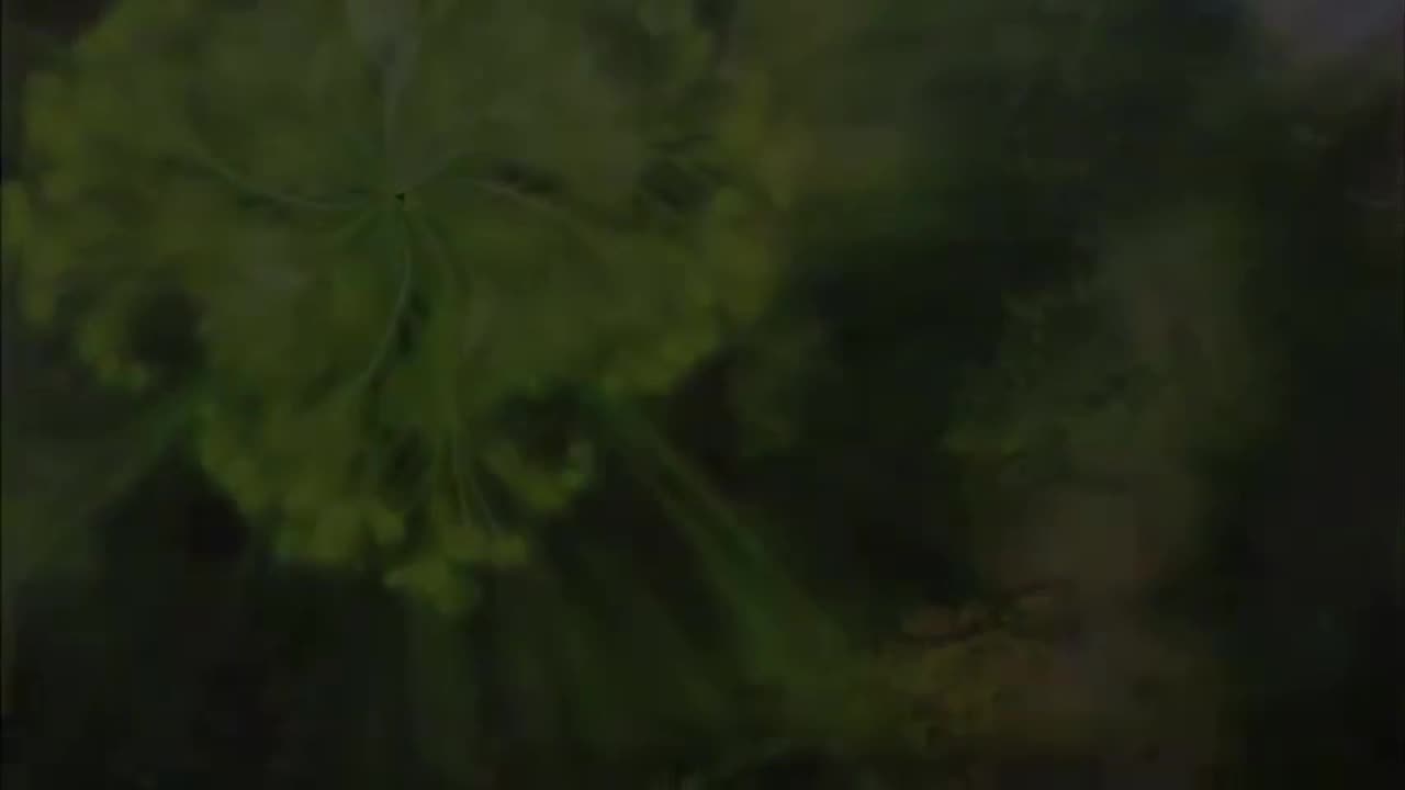 Classic Max Igan Radio - Surviving the Matrix - Piecing Together The Past