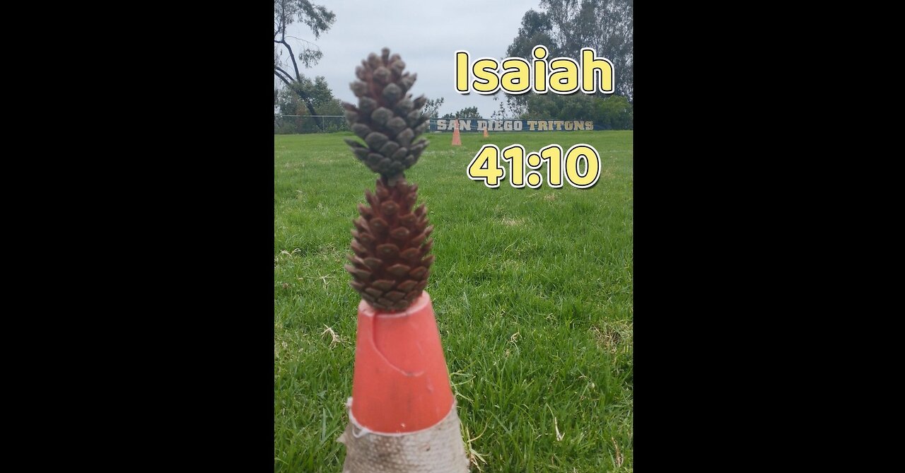 Night Falcon - California State Games 2025