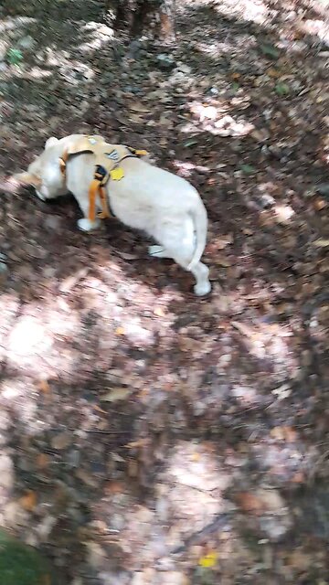 20250804. I believe God.