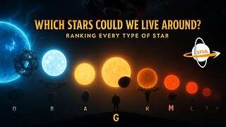 Which Stars Could We Live Around? Ranking Every Type of Star