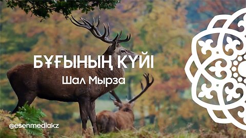 Бұғының күйі - Шал Мырза @esenmediakz ​