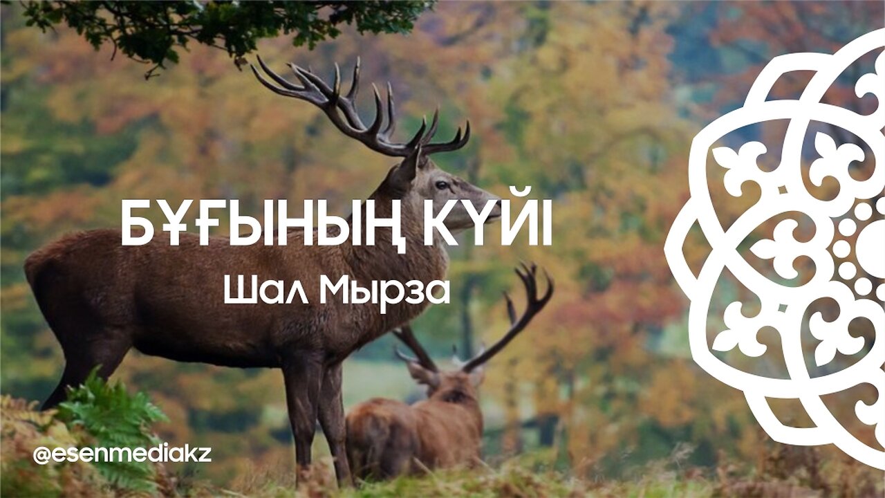 Бұғының күйі - Шал Мырза @esenmediakz 