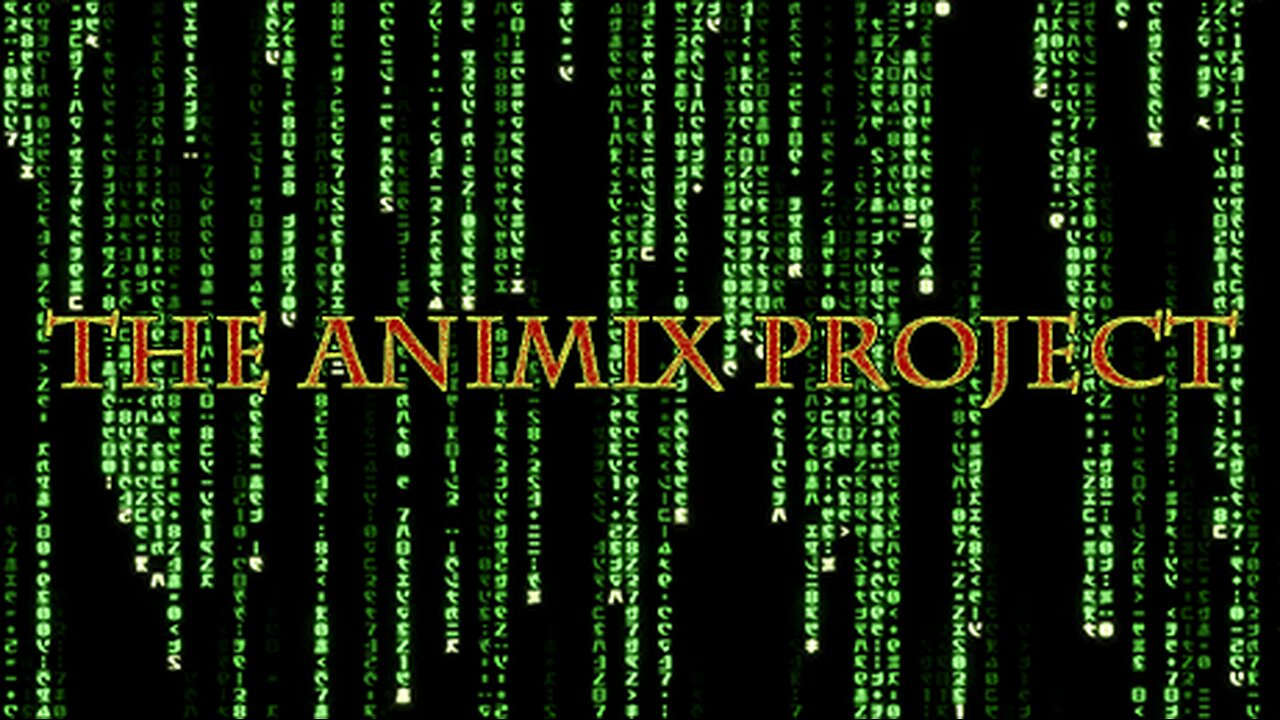 The Animix Project