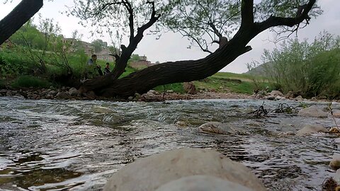 «زمزمه‌ی آب میان سبزینگی درختان» 🍃🌊