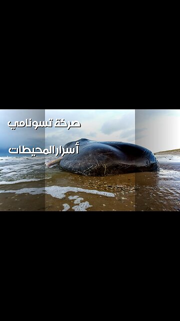 تسونامي صوتي : المحيطات تصرخ! سراً خطيراً؟