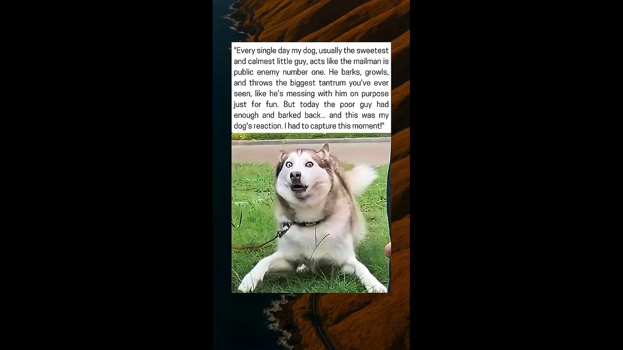 Dog Gets a Reality Check From the Mailman