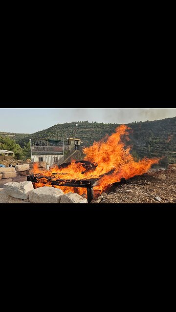 A red heifer was a BURNED sacrifice after two black hairs were found on its body