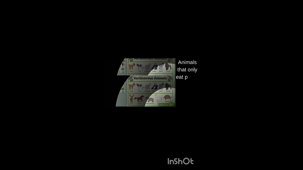 science quiz for children